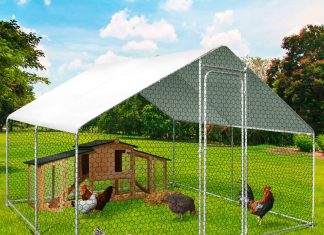 Aménager votre jardin avec des volières et des enclos pour poules