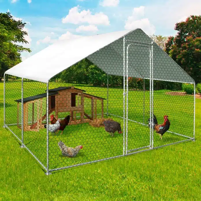 Aménager votre jardin avec des volières et des enclos pour poules