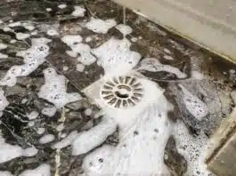 Solutions professionnelles pour éliminer les odeurs d'égout dans la salle de bain