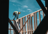 travaux