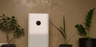 5 façons d'améliorer la qualité de l'air dans votre intérieur