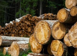 pile of log