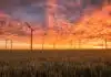 landscape photography of grass field with windmills under orange sunset