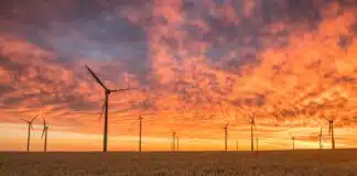 landscape photography of grass field with windmills under orange sunset