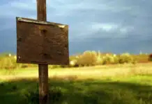 Qu'est-ce qu'un terrain constructible viabilisé ?