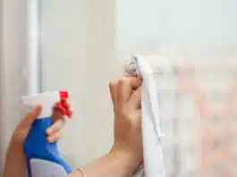 Services à domicile à Strasbourg : les avantages de prendre une femme de ménage