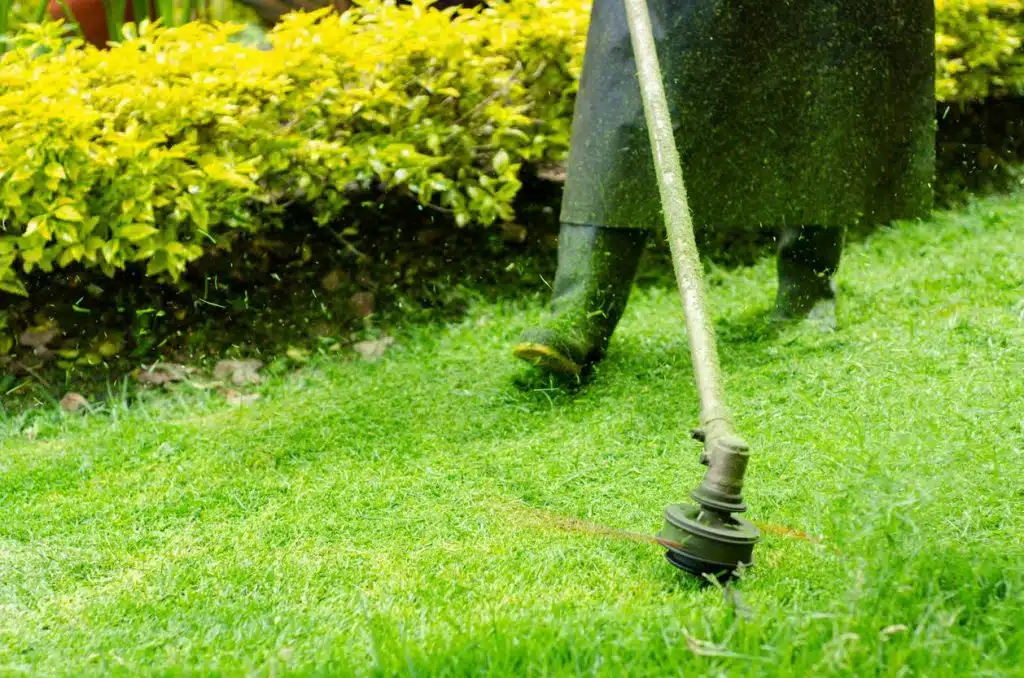 débroussailleuse jardin machine