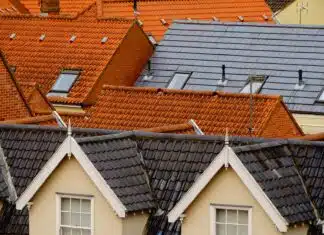 bird's eye view of assorted-color roof tiles